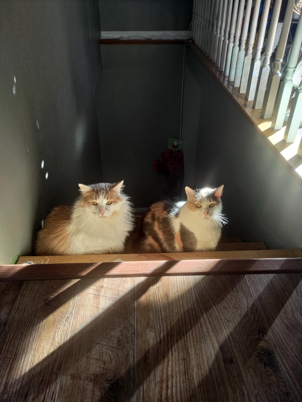 Both Jack and Luna