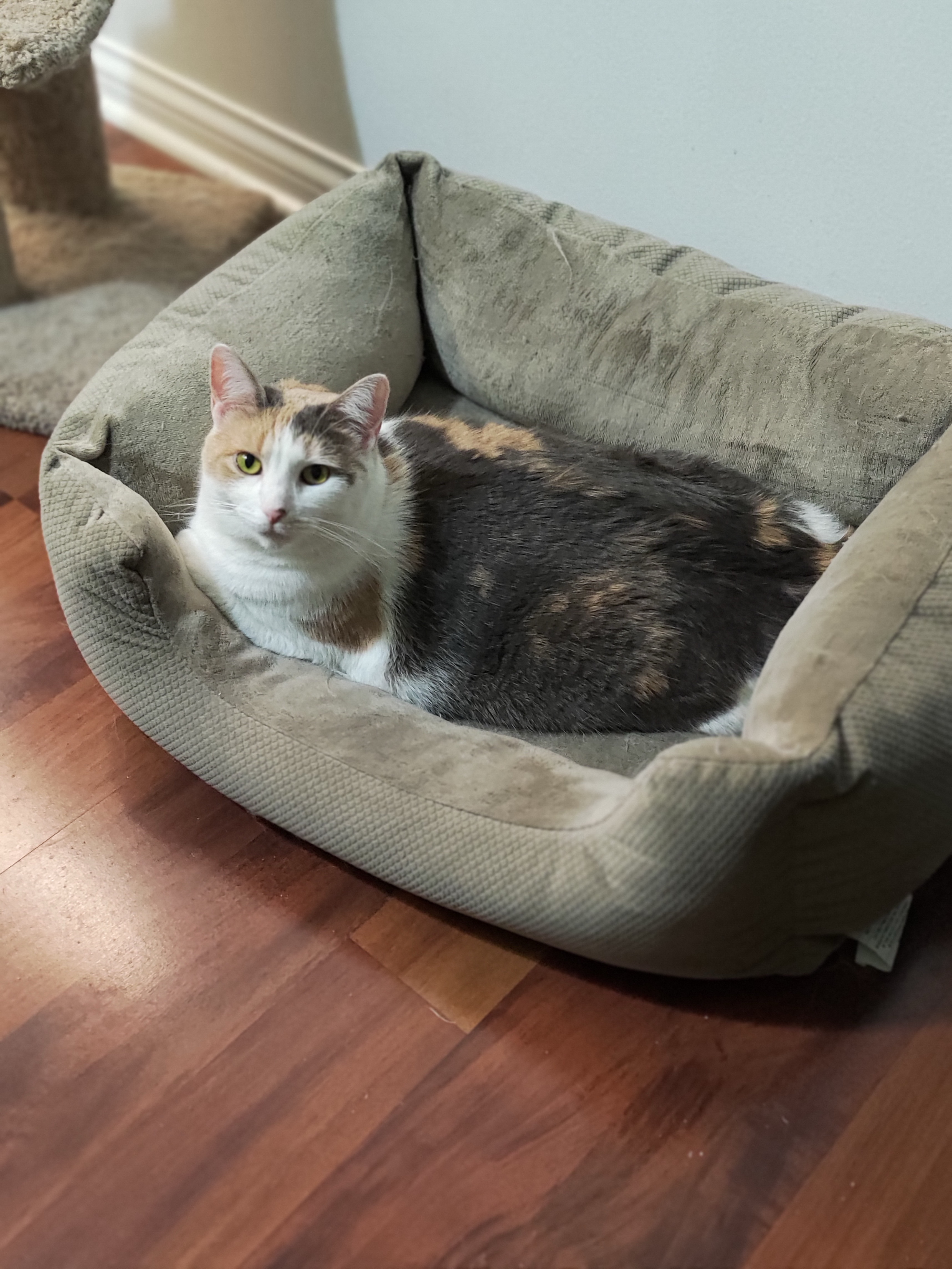 Luna